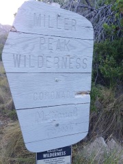 asj_millerwilderness