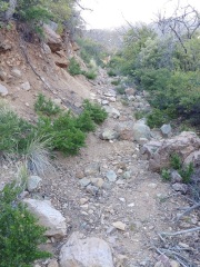 lutz_trail