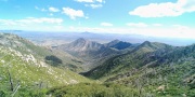 top-of-lutz